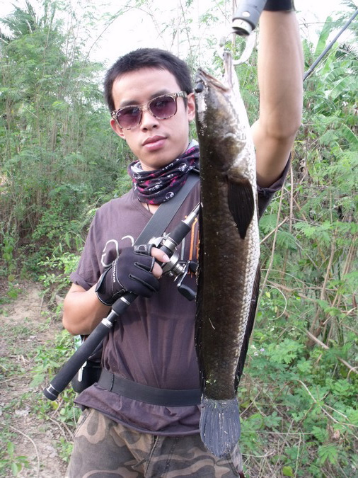 อีกซักใบครับ
ปลาน้อย
ถ่ายเยอะๆ :laughing: