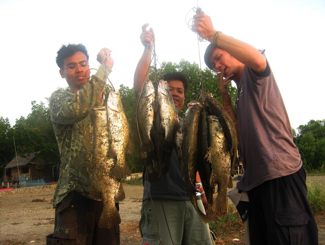 ได้กันเป็นพวงแบบนี้.......เห็นแล้วอิจฉาเลย :ohh: :ohh: :ohh: :ohh: :ohh: :ohh: :ohh: :grin: :grin: :