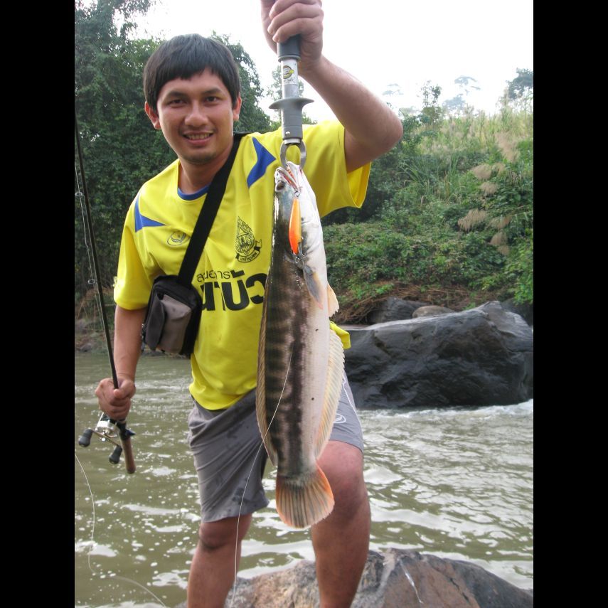 ตัวที่สองครับ :laughing: :laughing: :laughing: :laughing: