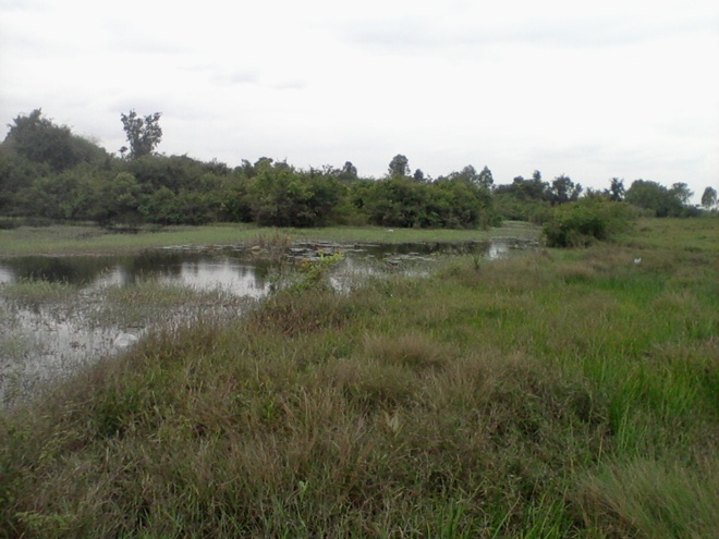 ฝนทำถ้าจะตก รีบกลับบ้าน ดีกว่า