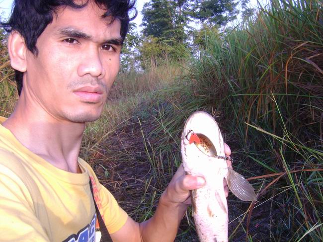 สักภาพ