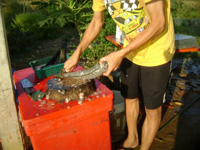 แปลสภาพ