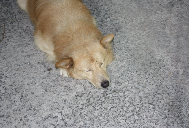 [q][i]อ้างถึง: 2010 posted: 09-12-2553, 16:06:30[/i]

เจ๋งจริงครับ ลุง  :laughing: :laughing: :lau