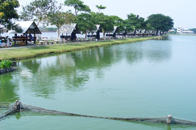  คนบ้านใกล้ครับมาแต่เช้า  ผม น้าตู่ น้าตี๋   :grin: :grin: