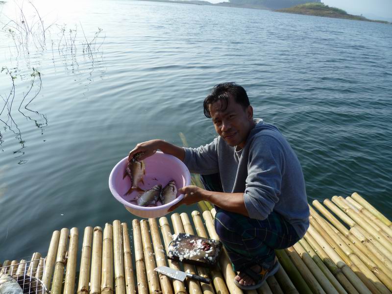 ปลากระมังมันก็ต้องอยู่ในกระมังใช่ไม่ครับ  :laughing: