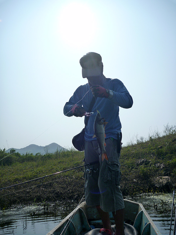 แดดกร้าว  :heart: