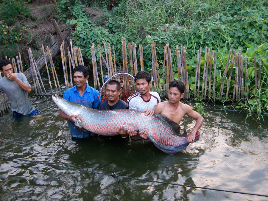 ภาพสุดท้ายแล้วนะครับ ขอบคุณทุกท่านๆ ที่ติดตามชมครับ 

สวัสดีครับ :smile: