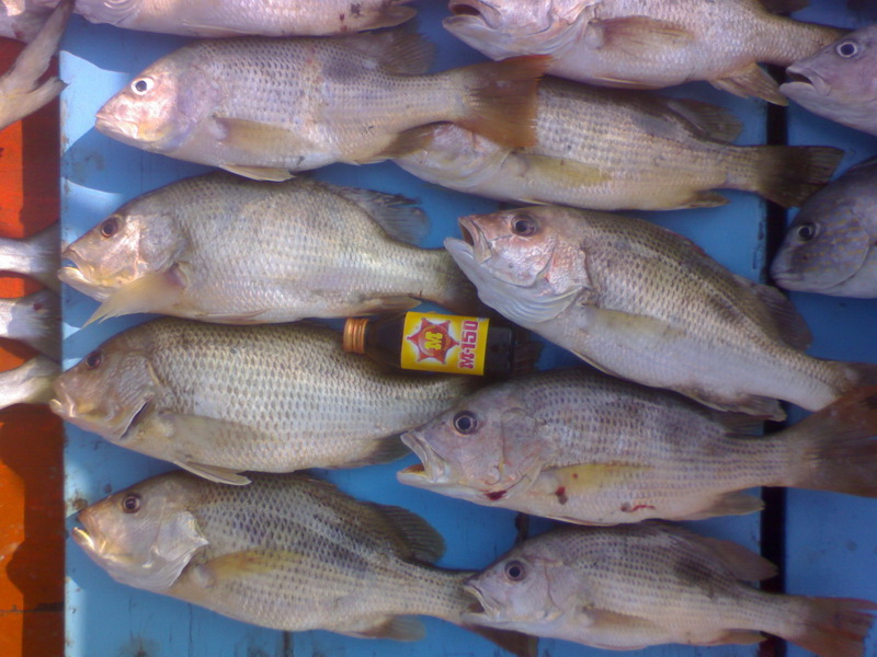 ทริป สบายๆๆ & เบาๆๆ กับ ส.ตั้นน้ำ by ไต๋ สงค์    9/12/2010
