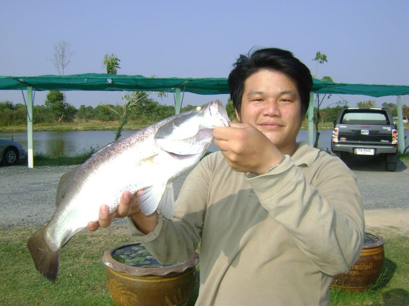 ปลาต่อจาก คห 1  ตัวใหญ่ขออีกรูป (เรียงลำดับจากการถ่ายในกล้อง)
 :grin: :grin: :grin: :grin: :grin: :