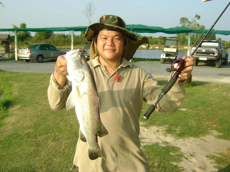 [q][i]อ้างถึง: mapandy posted: 11-12-2553, 23:30:21[/i]

เจ๋งไปเลยครับน้า สุดยอดดดดดดดดดดดดดดดด[/q