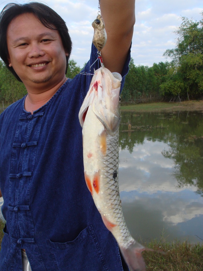 สวัสดีครับน้า.. pomfishing2009... ขอบคุณที่ตามชมนะครับ
[q] อ้าย ปากค่อ บ้านเจ้ามากินเบ็ดดีแท้ คนอุบ