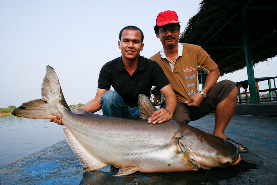 เดวส่งตัวแทน 2คนนี้ไปช่วยครับ
 :grin: :grin: :grin: :grin: :grin: :grin: