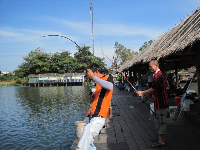 ดูลีลาน้านก   :cheer: :cheer: :cheer: