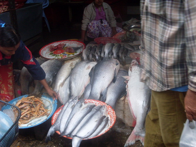 เดินผ่านร้านนี้  สะดุดกึกครับ

อยากมากครับ  อยากไปตกได้เอง   :laughing: :laughing: :laughing: :lau