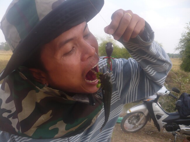 ยังอีก! ยังไม่แบ่งตรูอีก เอาหางนะ :laugh