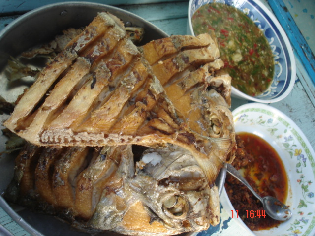 แมวกินปลา