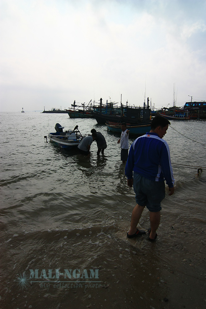 พลขับของการลากเรือเที่ยวนี้ คือ น้าหนอน

   ผมนึกว่ารถลากเรือจะไปได้ช้า...ที่ไหนได้ ผมขับ 110-120 