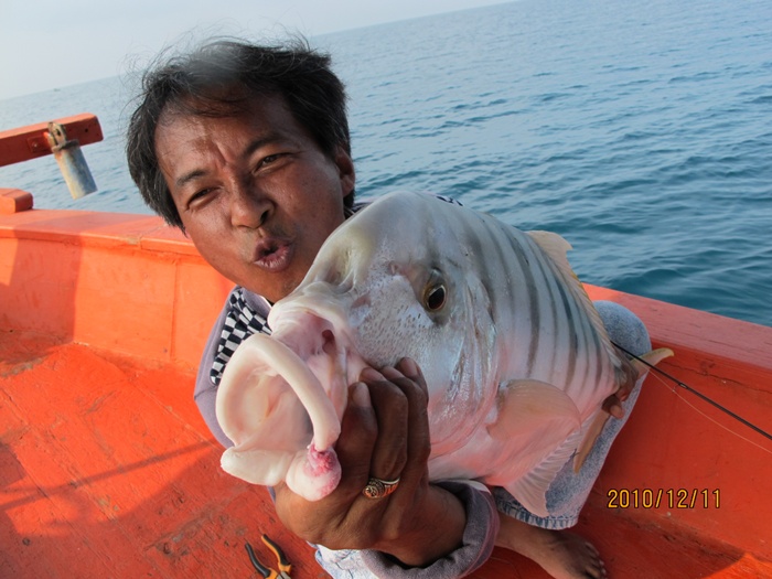 โห...ดูทำ

 :grin: