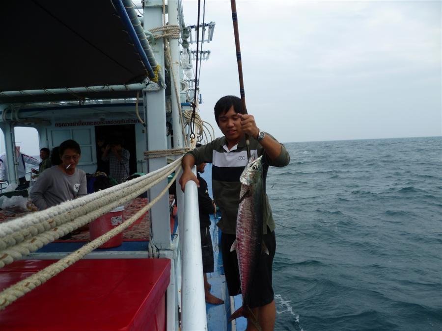 ตัวนี้ถ่ายที่เรือไต๋สมชาย   ตัวแรกข