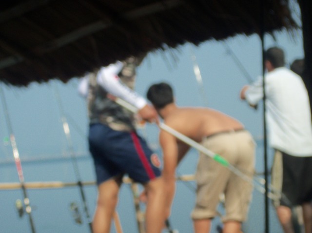 ปลากิน