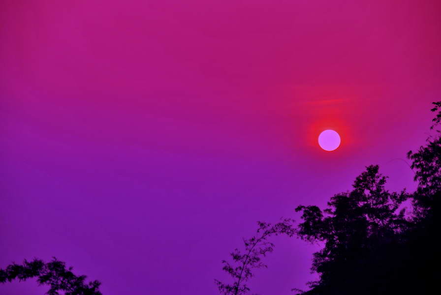 [q][i]อ้างถึง: Ekaka posted: 15-12-2553, 16:10:29[/i]

สวยงามครับ
 :cheer: :cheer: :cheer:[/q]

