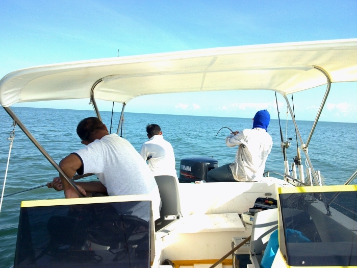 ในส่วนของท้ายเรือ  ก็ยังมีปลามาทัก