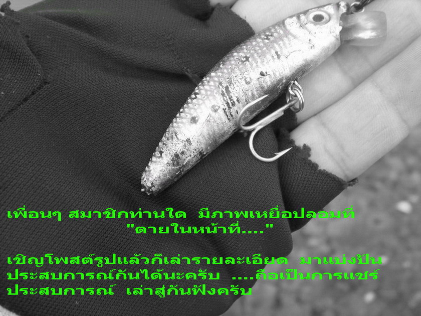 ใครมีภาพสวยๆ ประสบการณ์ดีๆ  ก็เชิญโ