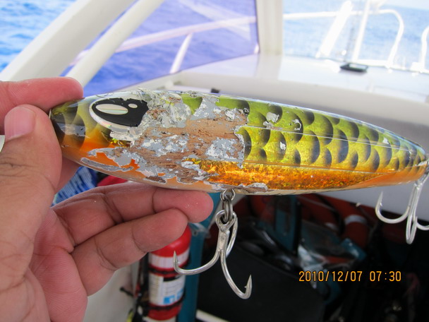 เหยื่อ stick bait ของผม อยู่ได้แค่ประมาณ 1 ชั่วโมงครับ โดนไป ประมาณว่า 4 ที ก็ขาดไปเลยครับ สภาพยับเย