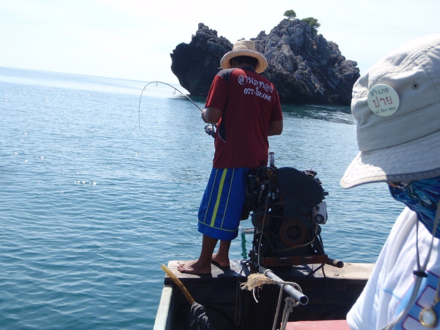 ไต๋ต้อมที่เห็นการ jigging เป็นครั้งแรก ถึงกับทนไม่ไหว เอาอุปกรณ์ไปลองมั่ง

โดนซ๊า Stella 2500 กะคั