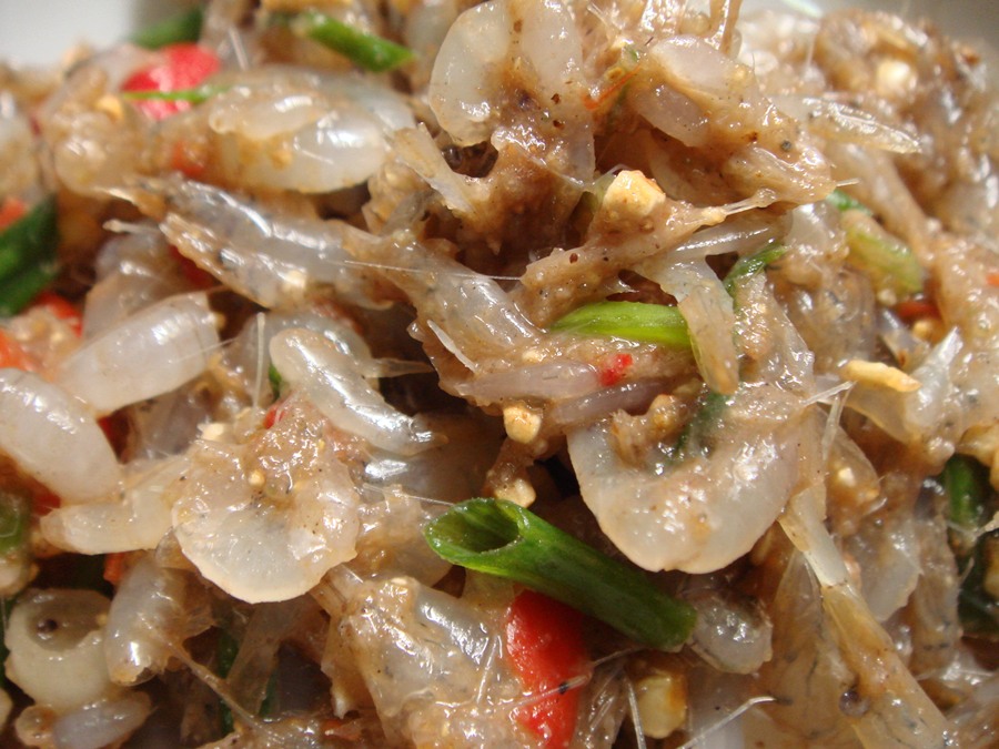little shrimp hot and spicy  salad  """"""   ก้อยกุ้ง  แซบๆ :umh: