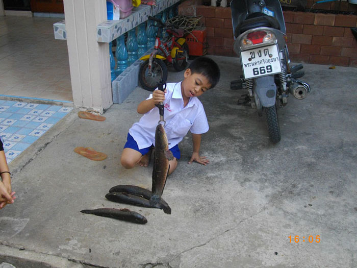 ......................ลูกบอกนักนะเอาไม๊ๆๆๆๆๆๆๆๆๆๆๆๆๆๆๆๆๆๆๆๆๆ..........................