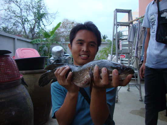 อ้วนดีจริงๆ.... :cheer: :cheer: :cheer: