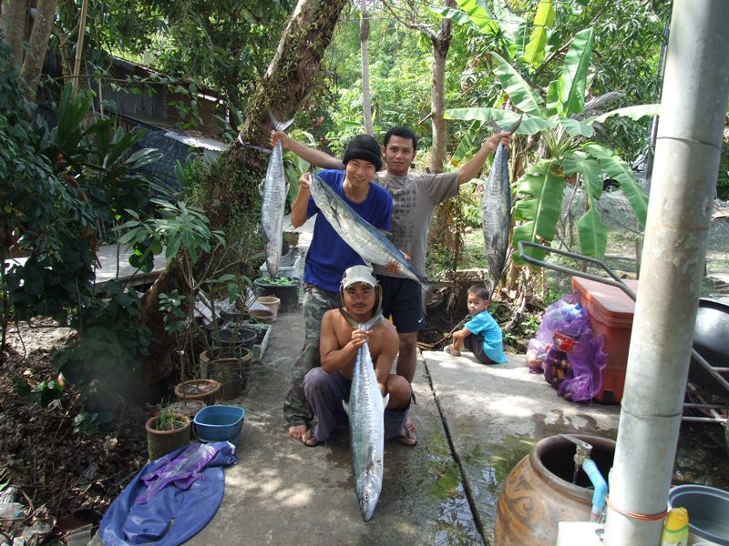 ขอต่ออีกภาพนะครับ..