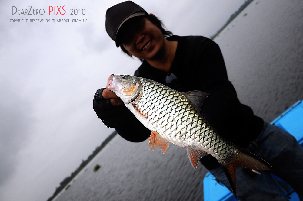 [q][i]อ้างถึง: doremon0000 posted: 20-12-2553, 09:18:23[/i]

 :love: :love: :love: :
