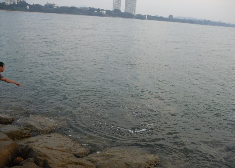 [q][i]อ้างถึง: อังตวน posted: 20-12-2553, 09:09:57[/i]

เร็วเลย น้าตั้ม  :grin: :grin: :grin: :gri