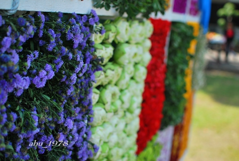 ...รูปสุดท้าย ลากันไปด้วยภาพนี้ครับ
