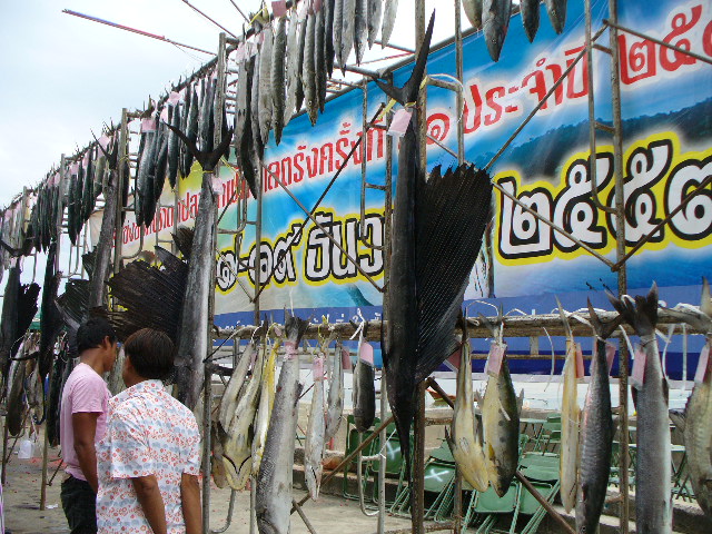 ปลาทั้งหมด