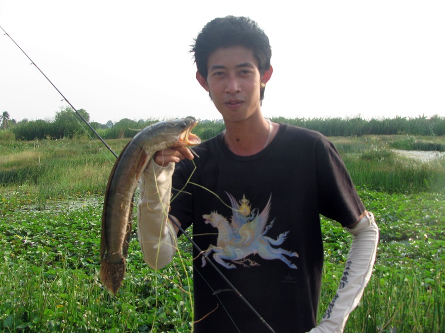 เจ้าอ็อฟ งัดมาเพิ่มสกอร์ให้กับตัวเอง เป็น 2 ตัวแล้วครับ :cheer: :cheer: :cheer:
