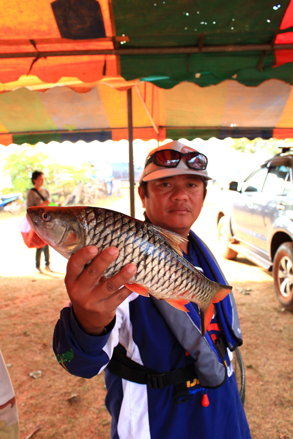 ลูกทีมผมเอง