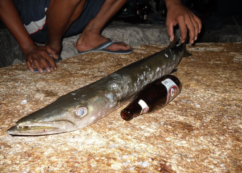 [q][i]อ้างถึง: Fish_Blood posted: 20-12-2553, 19:34:52[/i]

+1  3 ปี 4 โล สู้ต่อไปเถอะ....ทาเคชิ  