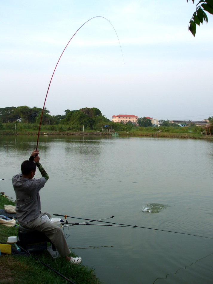 คันนี้ Enga รุ่น Numen (ลดระดับ) ยาว 3.6 m   :cool: