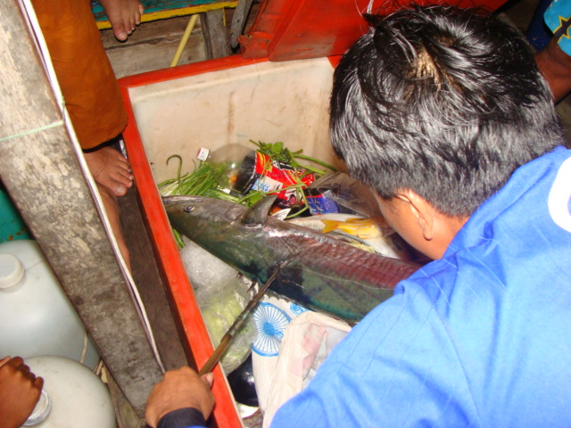 หลังจากได้อินทรีตัวนั่น  ทุกอย่างก