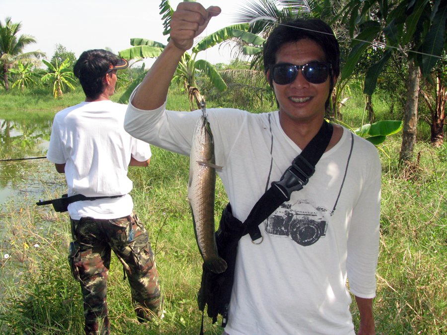 ผมให้สังเกตุแบ็กกาวด์ด้านหลังนะคร