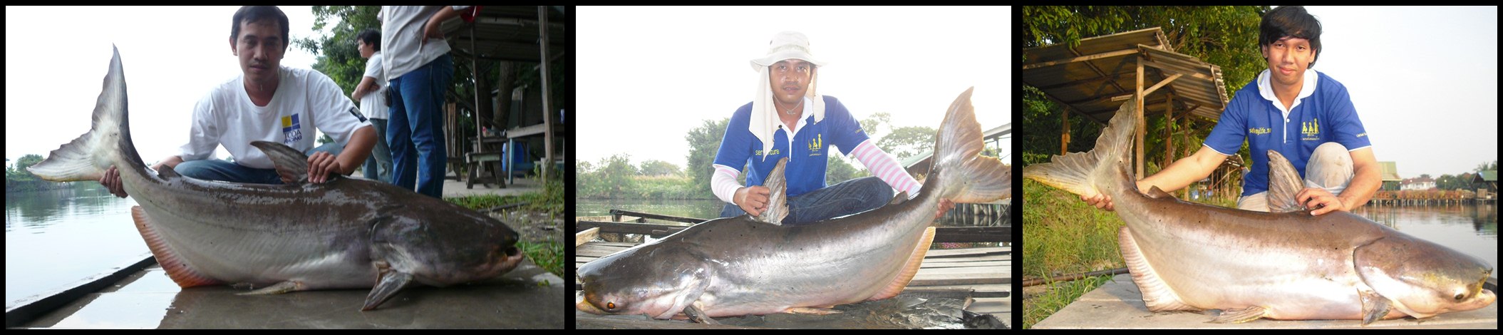 สุดท้ายทิ้งท้ายรูปนี้ไว้ละกันครับ

ขอขอบคุณน้าๆและ ป้าๆ แห่งSiamfishingทุกท่าน

ที่เข้ามาเยี่ยมช