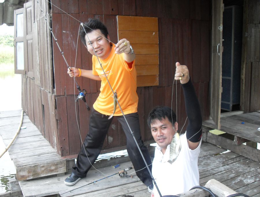 ปลาช่อนชักไม่รุ่ง.....เลยขอเปลี่ยนแนวบ้างครับ :cheer: :cheer: :cheer: :cheer: :cheer: :cheer: :cheer