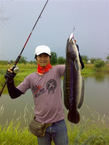 นี้ครับคนตกโปร หนู ดวงดีทุกงาน :laughing:
