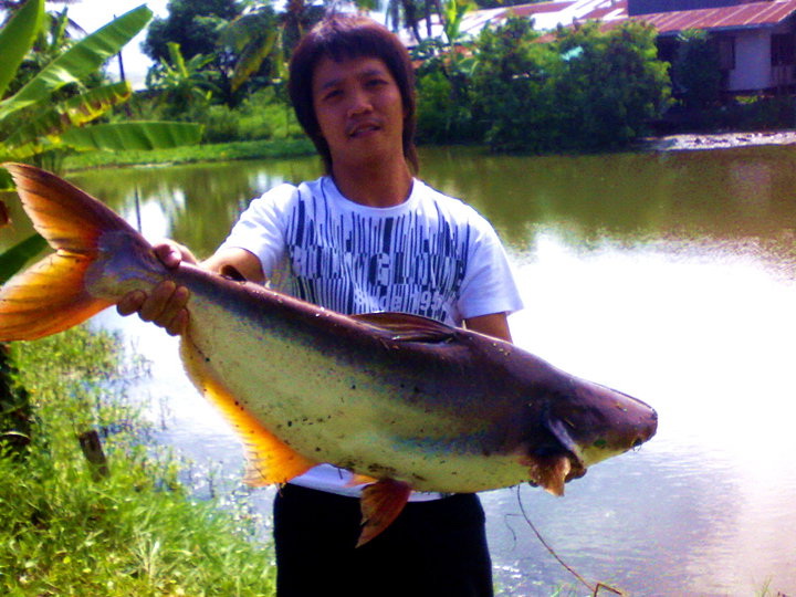 มันแอบไปตกกันตอนไหนนิ