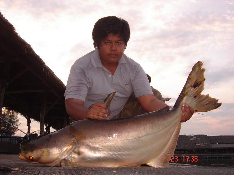 ตัวที่สิบเอ็ด...:grin: :grin:




[q][i]อ้างถึง: เก่งแหลมฉบัง posted: 24-12-2553, 22:14:05[/i]
