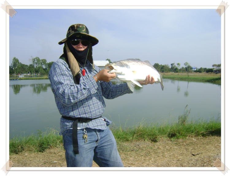 โชว์ตัวกันหน่อย........หนักเหมือนกันนะ
