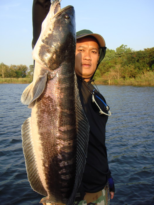 เต็มๆ :cheer: :cool: